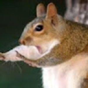 Meet your Posher, Lorianne